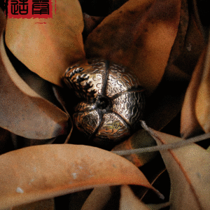 Mexican Spherical Ammonite Object