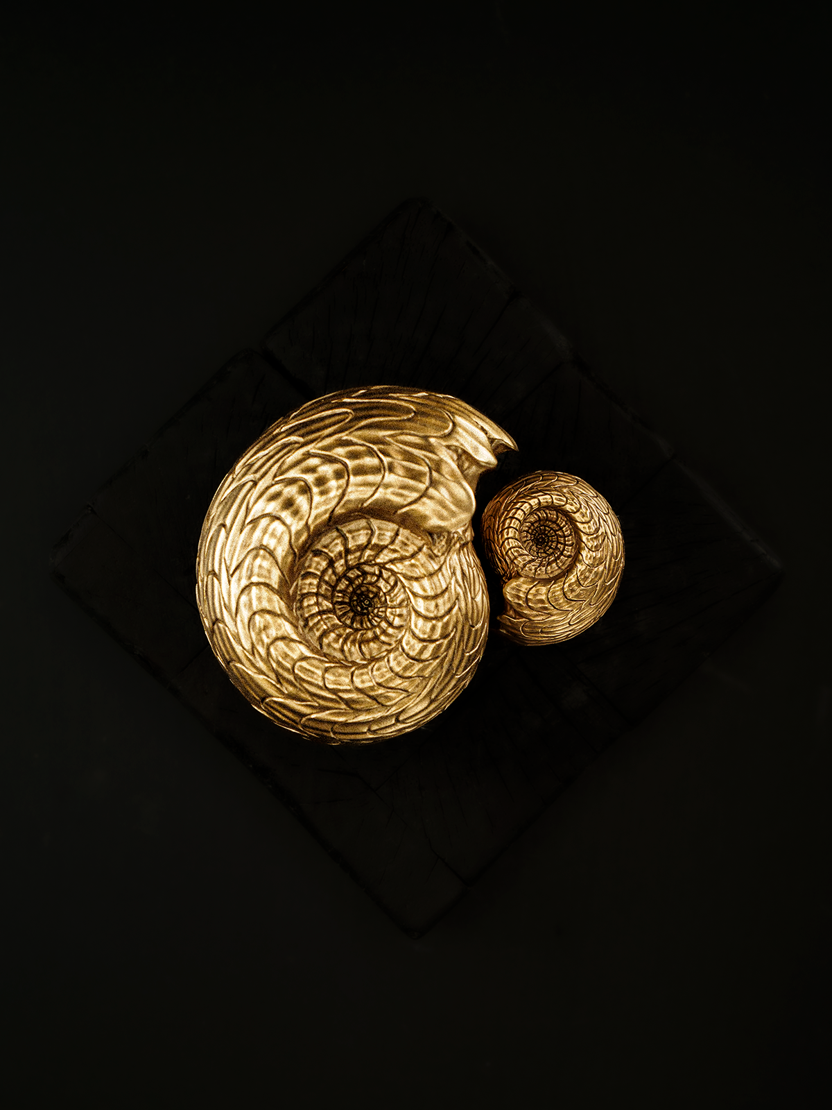 铁拳匠造-道比贺菊石Daobihe Ammonite Object - Image 3