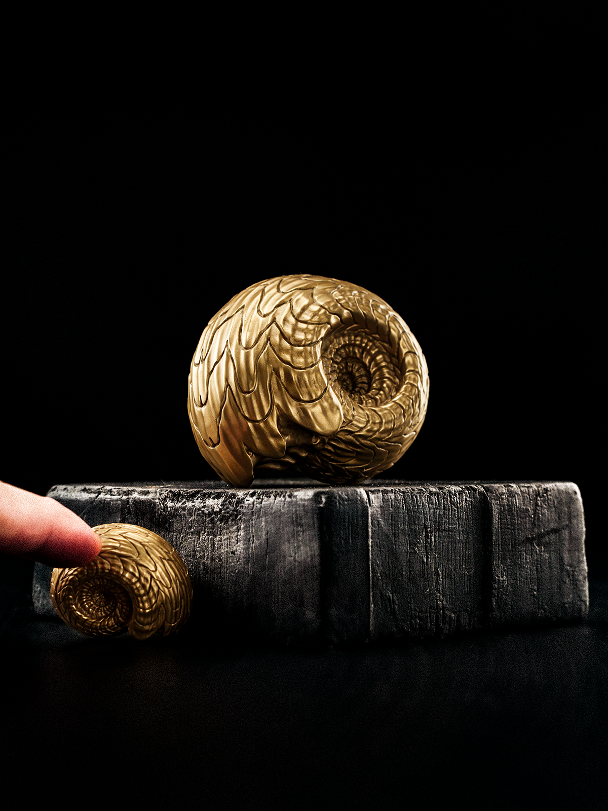 铁拳匠造-道比贺菊石Daobihe Ammonite Object - Image 2