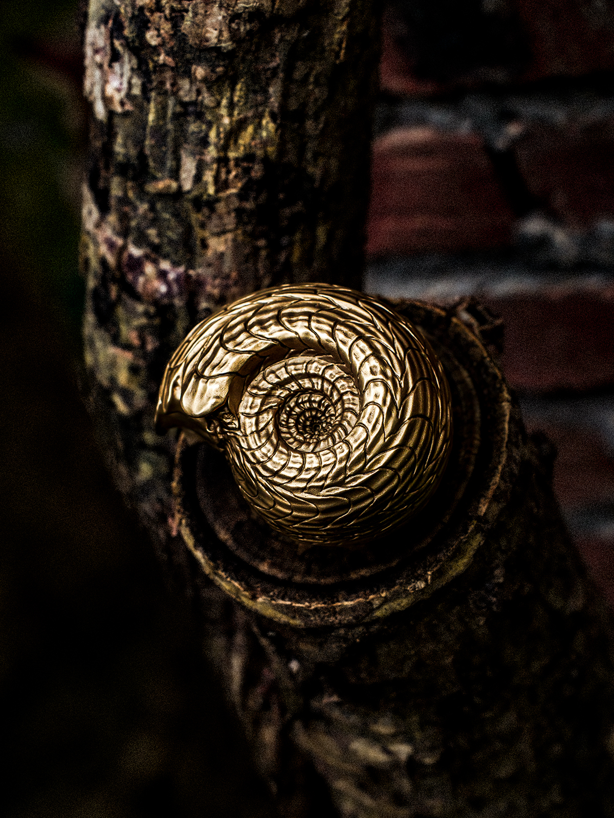 铁拳匠造-道比贺菊石Daobihe Ammonite Object - Image 5