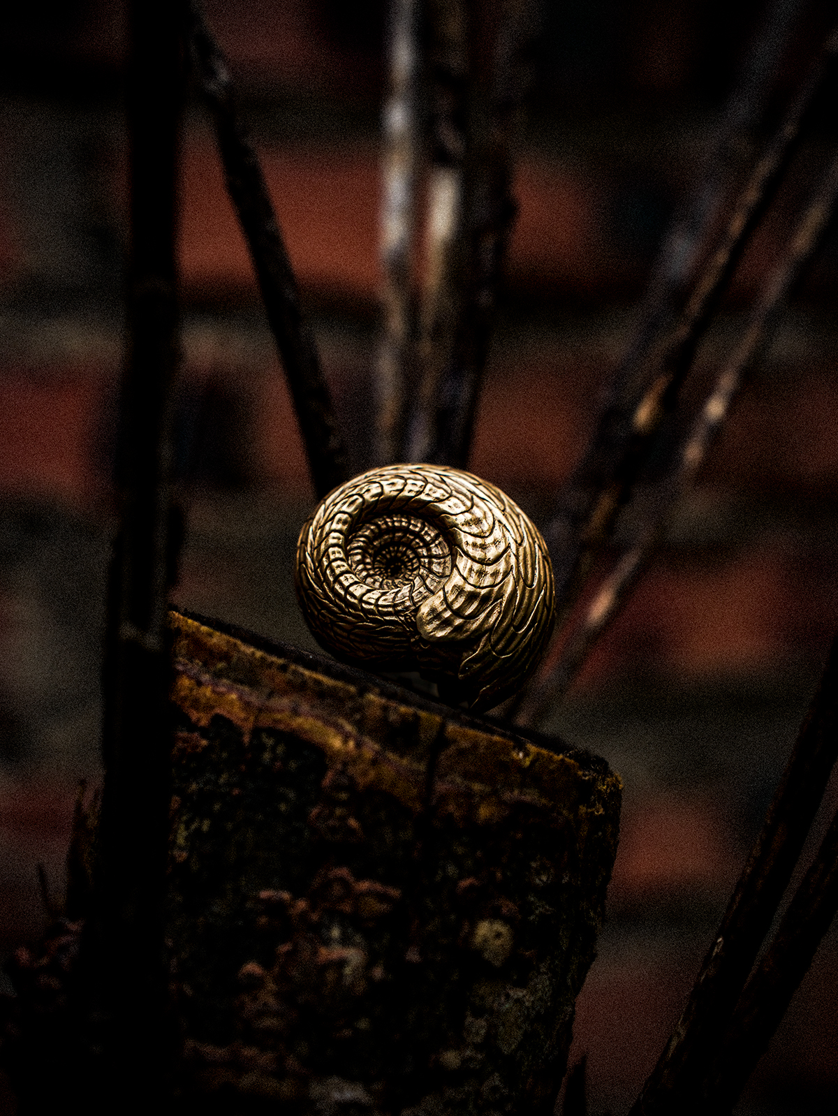 铁拳匠造-道比贺菊石Daobihe Ammonite Object - Image 4